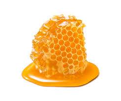 medicinal properties of honey medicinal properties of honey